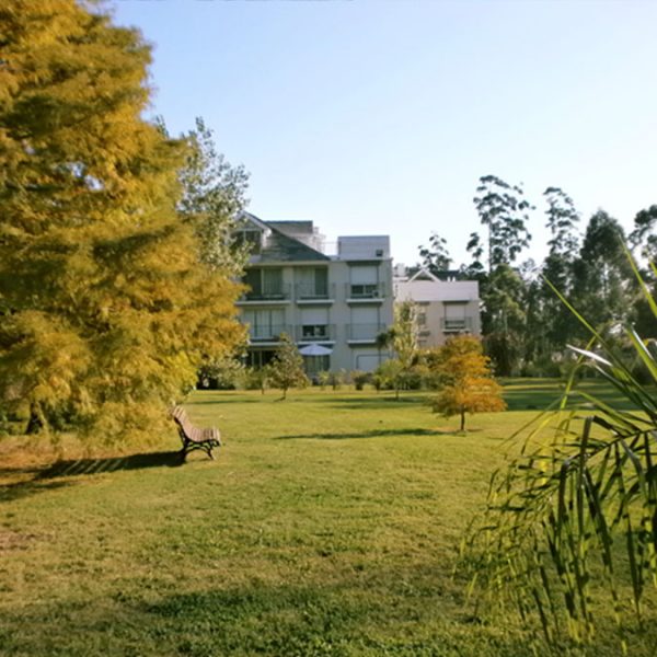 Torre C desde el parque en otoño