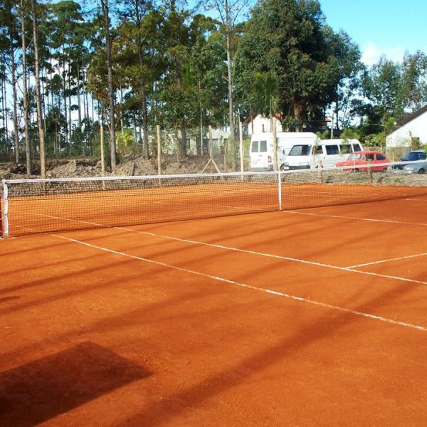 Tenis